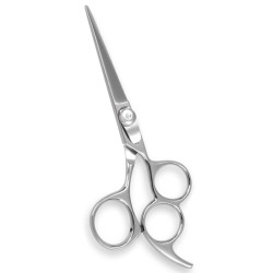 Professional Hair Cutting Scissors